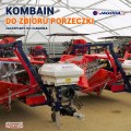 JAGODA_00032.jpg