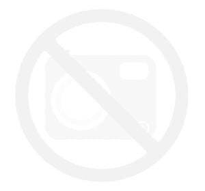 OPRYSKIWACZ SADOWNICZY ZAWIESZANY TL400S, POMPA MONSUM